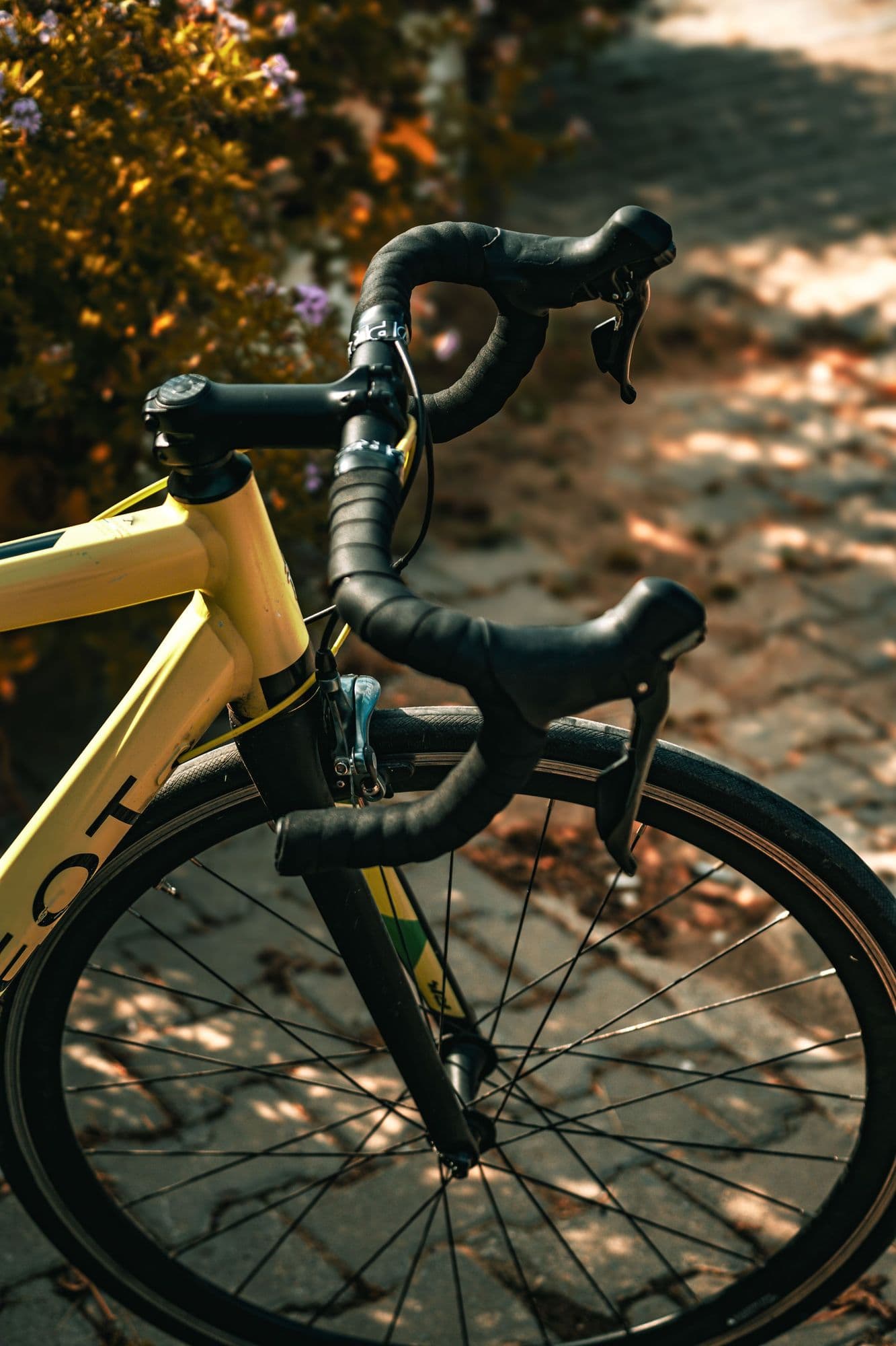 Front view of a road bike's handlebar and fork